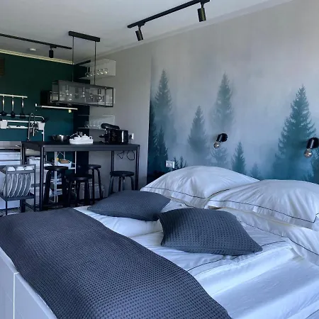 Schwarzwald Kniebis Apartment *