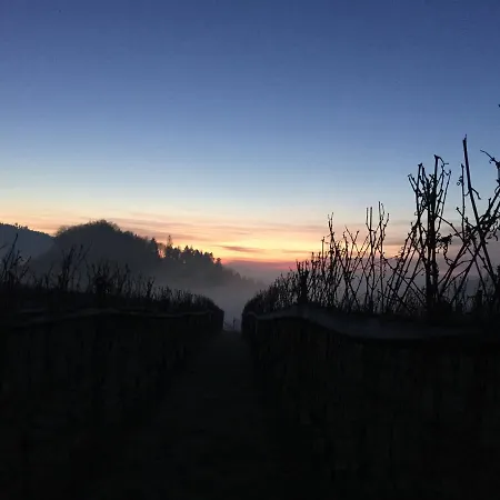 Lejlighed Schwarzwald Kniebis *