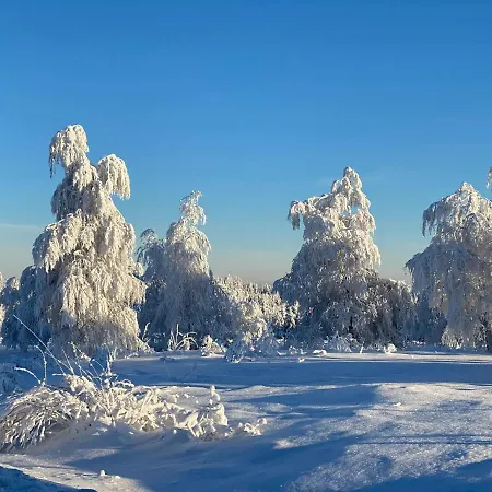 Schwarzwald Kniebis