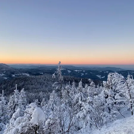 Lejlighed Schwarzwald Kniebis Freudenstadt