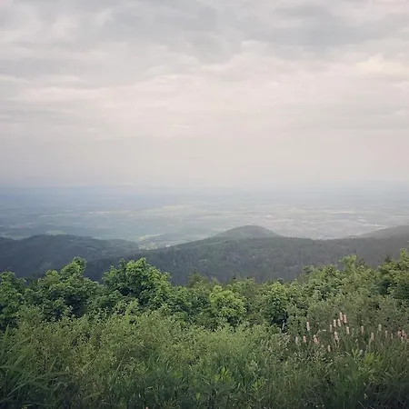 Schwarzwald Kniebis Lejlighed Freudenstadt