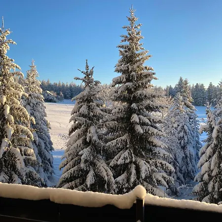 Schwarzwald Kniebis *